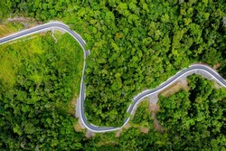 Aerial view of  hardened road curving through a tropical forest from above