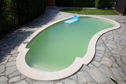 home swimming pool filled with water with green algae