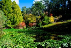 Mount Lofty Botanic Garden - South Australia