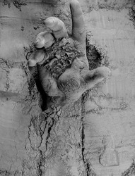 Human hand rising up and reaching from cement. Human power and Labor day concept. 
