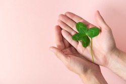 A four leaf clover in male's hands on a pink background. Good for luck or St. Patrick's day. Shamrock, symbol of fortune, happiness and success. Holding good luck in hands. Make a wish. Copy space.