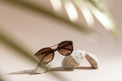 Womens Tortoiseshell frame sunglasses on a beige background with golden palm leaf. Trendy sunglasses still life in minimal stile. Summer fashionable accessories. Optic store discount, sale. Close up