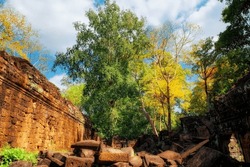 Ancient ruins of buildings in the Cambodian forest, ruins of the Khmer civilization, landscape.