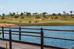 Golfers at golf course at the Costa Blanca with wooden bridge over lake and palm trees on a summer day