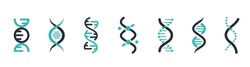 DNA Icons set. DNA Structure molecule icon. Vector molecule. Chromosome icon
