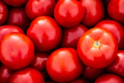 Red ripe tomatoes. Close-up. Background or texture of tomatoes. Lots of red tomatoes. Harvesting tomatoes.