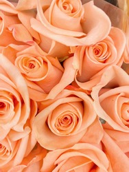 Beautiful bouquet bundle of peach color roses