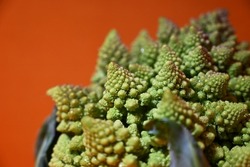 Fractals of the broccoli romanesco