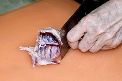 Southeast Asian, elderly woman's hands cutting up chicken’s ribcage with knife on plastic cutting board. Preparing to cook.