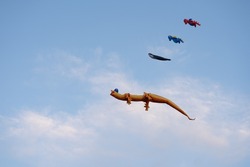 kites in the shape of a dragon, a whale and dinosaurs soar in the sky on the same rope