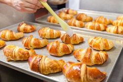 Professional bakery. Detail of Hands preparing french croissant in color