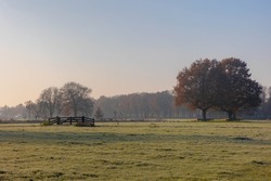 Countryside landscape in winter, Low flat land with white morning frost, Typical Dutch polder with wooden fence and small canal or ditch, Fog and mist covered on the green grass field, Netherlands.