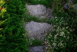 top view Overgrown grassy stone steps stairs in the natural landscape of the summer garden. stones