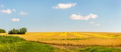 Panoramic view of farmland field edge with yellow ripe wheat plantation and green grasses and trees near it.