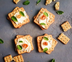 savory biscuit with tomato and basil mayonnaise on gray background 