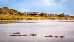 View of the Sabie Sand River with hippos and the Lower Sabie Rest Camp, Kruger National Park, South Africa