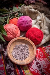 Cochineal (dead bodies of female cochineal insects) is traditionally used to dye yarn red, Sacred Valley, Cusco, Peru