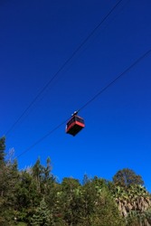 High against a bright blue sky, a red cable car, climb to the top, travel, vacation adventure, palm trees, cyan, cloudless skies, modern technology, transportation, strong steel ropes, straight lines