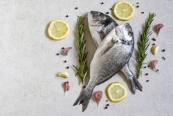 Two fresh raw sea organic dorado or sea bream with spices and lemon on a grey background. Copy space. Top view
