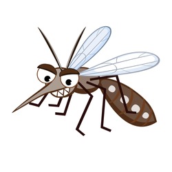 Cartoon Mosquito Aedes Aegypti in white background