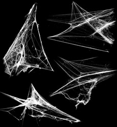Overlay the cobweb effect. A collection of spider webs isolated on a black background. Spider web elements as decoration to the design. Halloween Props