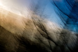 Disoriented image of hazy, fragmented, streaking, silhouetted trees, backlit by warm, bright late afternoon sun in blue sky - abstract, motion-blurred background texture
