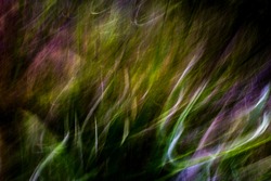 Soft, gentle, warm mountainside vegetation light-streak pattern in shades of green, purple and white  - abstract, motion-blurred background texture 