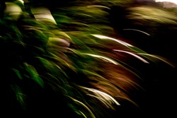Warm green, brown and white, mountainside vegetation light-streak pattern in heavy shadows - abstract, motion-blurred background texture 