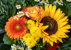Fresh Sunflower Gerbera Mix Bouquet Yellow Orange Green