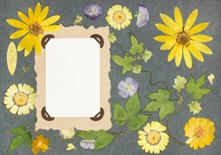 Page from an old photo album. Scrapbooking element decorated with leaves, flowers and petals flowers. For cards, invitations und congratulations. Use in scrapbooking, greetings.