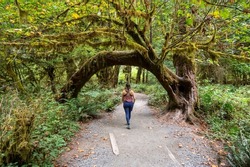 Young woman on Hoh Rain Forest trail in Olympic National Park, Washington on overcast autumn morning..