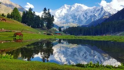Fairy Meadows is a grassland near one of the base camp sites of the Nanga Parbat, located in Diamer District, Gilgit-Baltistan, Pakistan