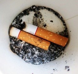Closeup of two cigarette butts and their ashes, at the bottom of the white paper cup. Concept of smoking addiction