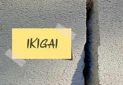 Note on rock concrete background with text written FIND YOUR IKIGAI, Japanese concept of a reason for living life, to find what feeds motivation to get out of bed each morning