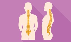 Spine back flat design icon. Illustration of spine back flat design vector icon for web design