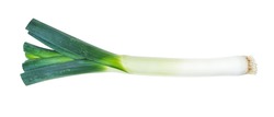 root of fresh leek with greens cutout on white background
