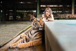 Selective focus of young short-haired Asian woman laying with arms crossed on the pool edge smiling at camera near orange-black striped adult tiger laying on ground in front of her at Tiger kingdom.