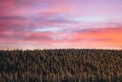 Sunset in Krkonoše mountains. Beautiful landscape with frozen green trees, rocks and blue sky in the snowy mountains. Winter landscape scene from nature, Krkonoše National Park, Czech Republic