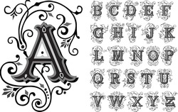 Vintage decorative font, alphabet, vector set of hand drawn decorative alphabet initial letters. Luxury beautiful royal font design for card, invitation, monogram, logo