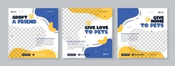 Set of three fluid background of pet care promotion banner social media pack template premium vector