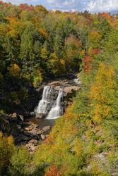 Fall Color in Blackwater Falls State Park