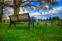 A moss covered bench overlooking a cemetery.