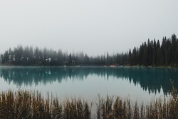 Water reflections from across the peninsula of Emerald Lake surrounded by towering pine trees and thick eerie fog in Yoho National Park, BC, Canada.