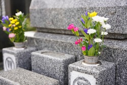 visiting a grave on the equinoctial week Japanese custom