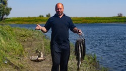 happy fisherman holds a lot of caught pike on a kukan and a metal net with fish on a background of blue lake and sky