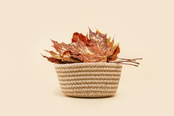 Fall Gift or Sale concept. golden maple leaves in a woven basket. autumn decor. Copy space. Thanksgiving. order delivery banner. Warm subtle mood colors