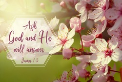 Tree blooming in spring with a bible verse form the book of James