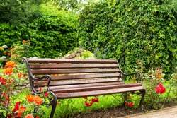 Wooden bench in public garden