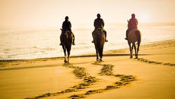 gorgeous picture of three riders with beautiful brown horses riding into the sunset on the beach towards the calm sea. Artistic view over the footsteps on the beach in orange light with lens flare