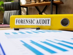 Forensic audit results in the yellow folder and papers.